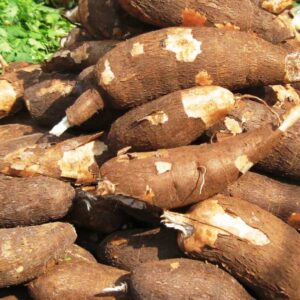 Cassava (Tone)